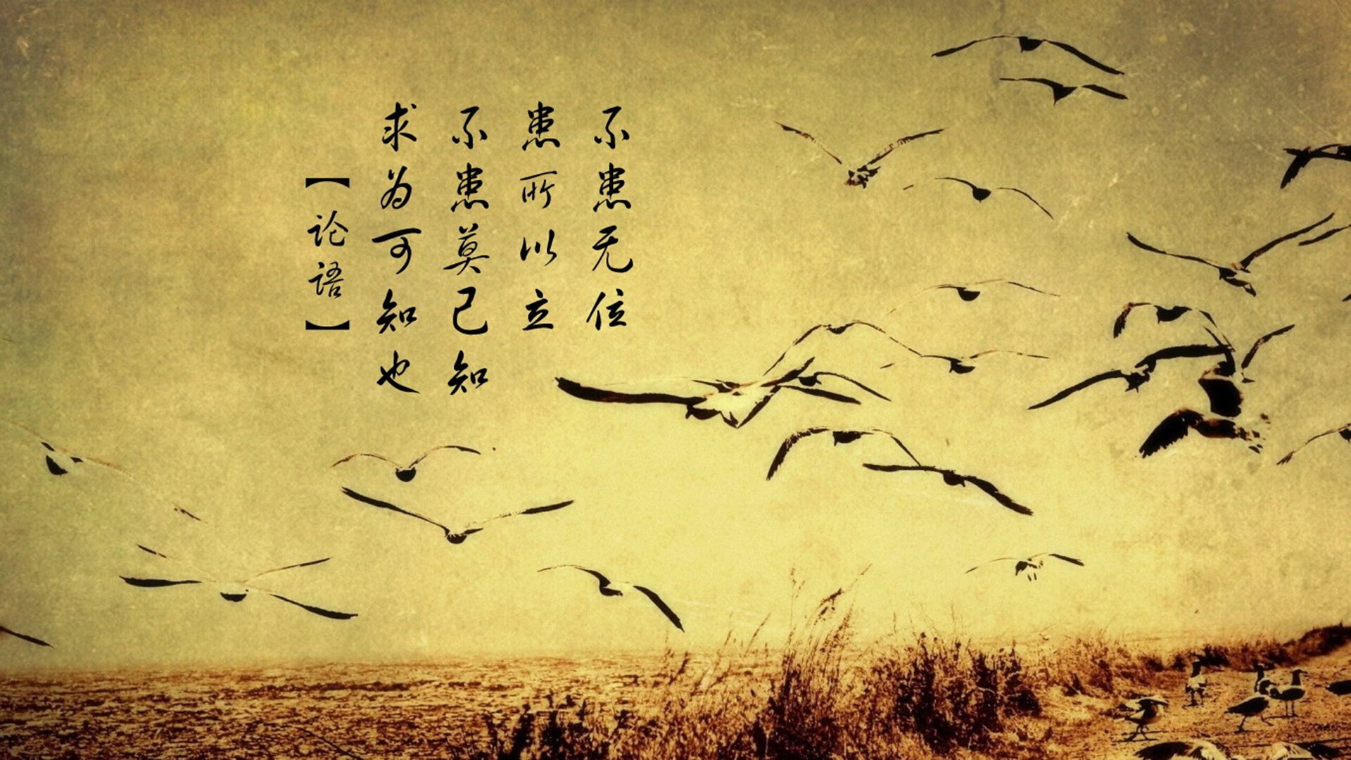 桑巴风暴席卷北境，2026世界杯E组焦点战，巴西以完美默契击溃加拿大，吉鲁化身绝对主宰