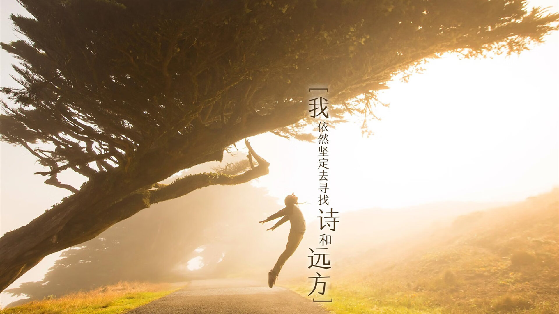 蓝白悲歌与红白奇迹,2026世界杯A组焦点战,当维尼修斯点燃火焰,波兰用钢铁意志刺穿阿根廷